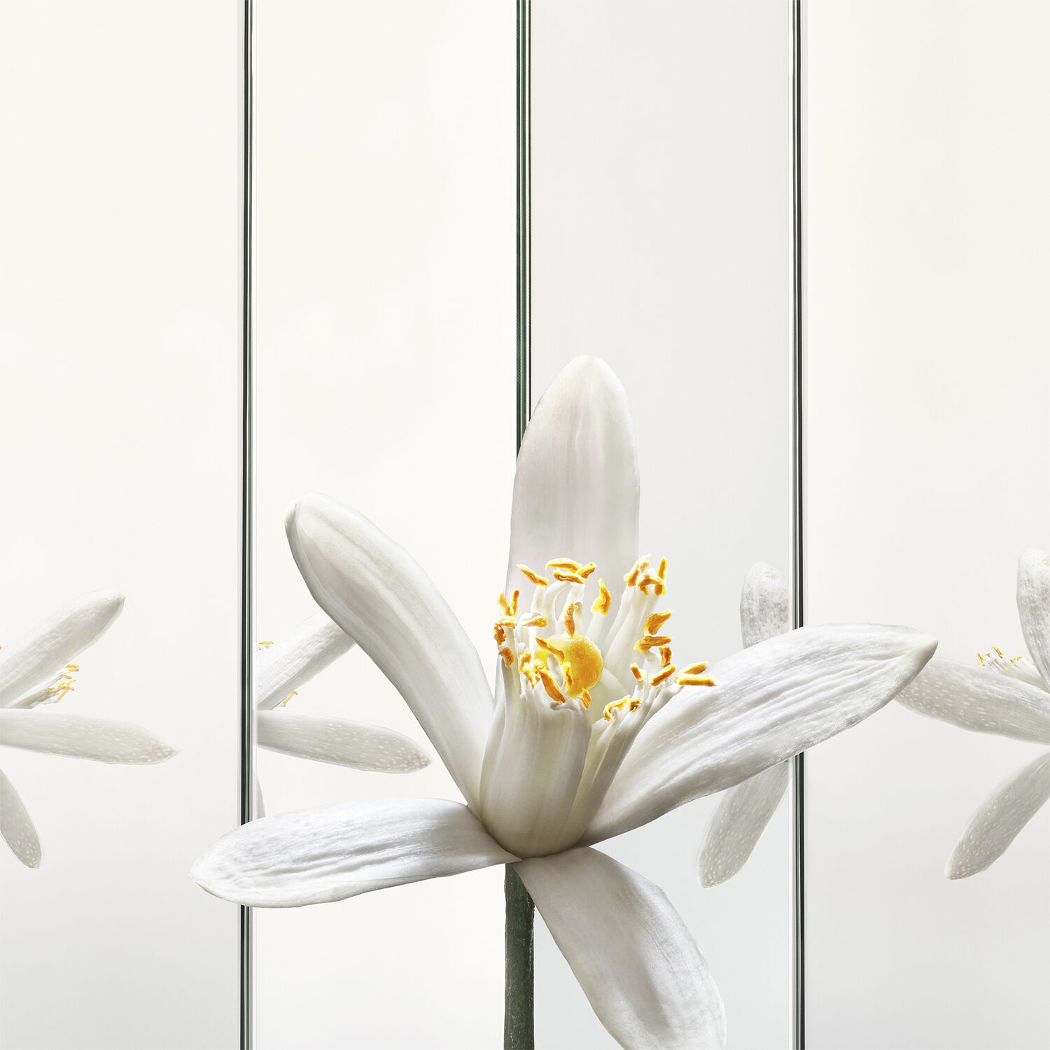 Yves Saint Laurent MYSLF Eau de Parfum