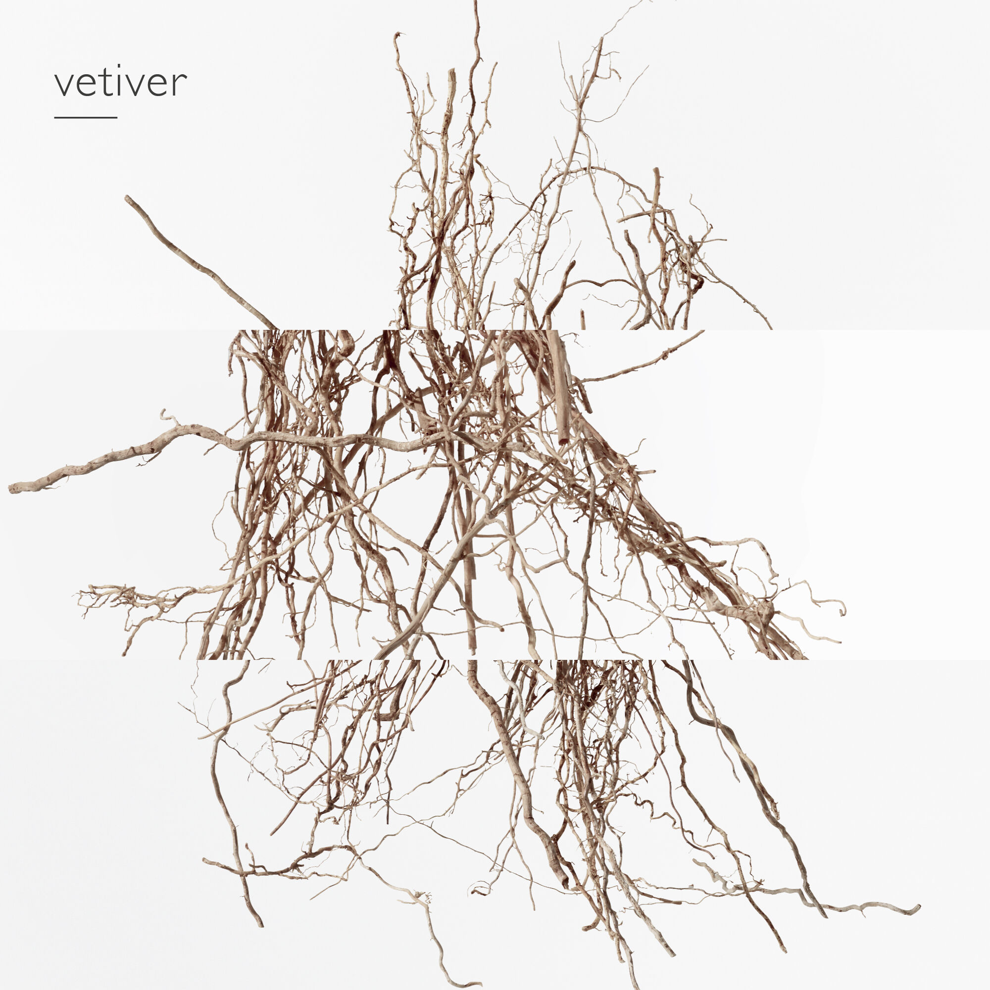 TERRE D'HERM&Egrave;S EAU INTENSE V&Egrave;TIVER, EAU DE PARFUM