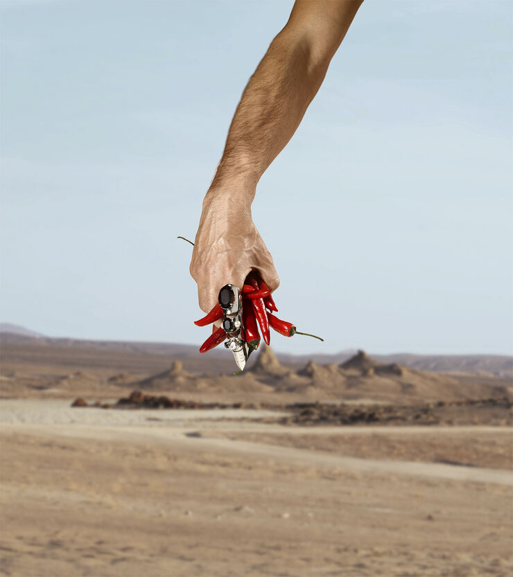 K By Dolce & Gabbana Eau de Toilette