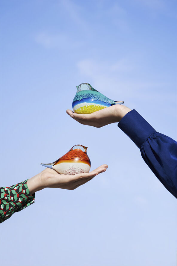 GLASS BIRD ATLAS ORANGE/PINK