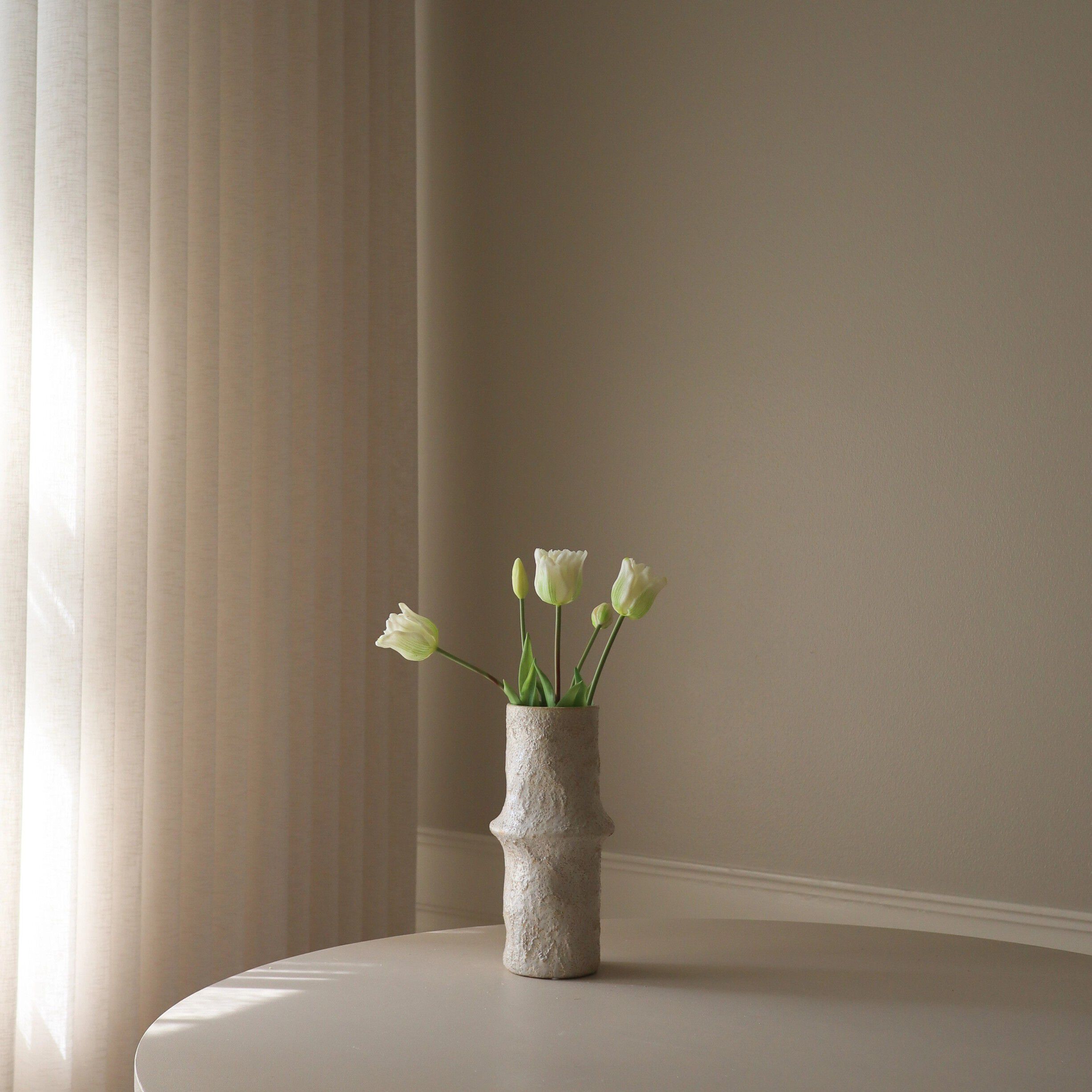 Triumph Tulip Bundle White