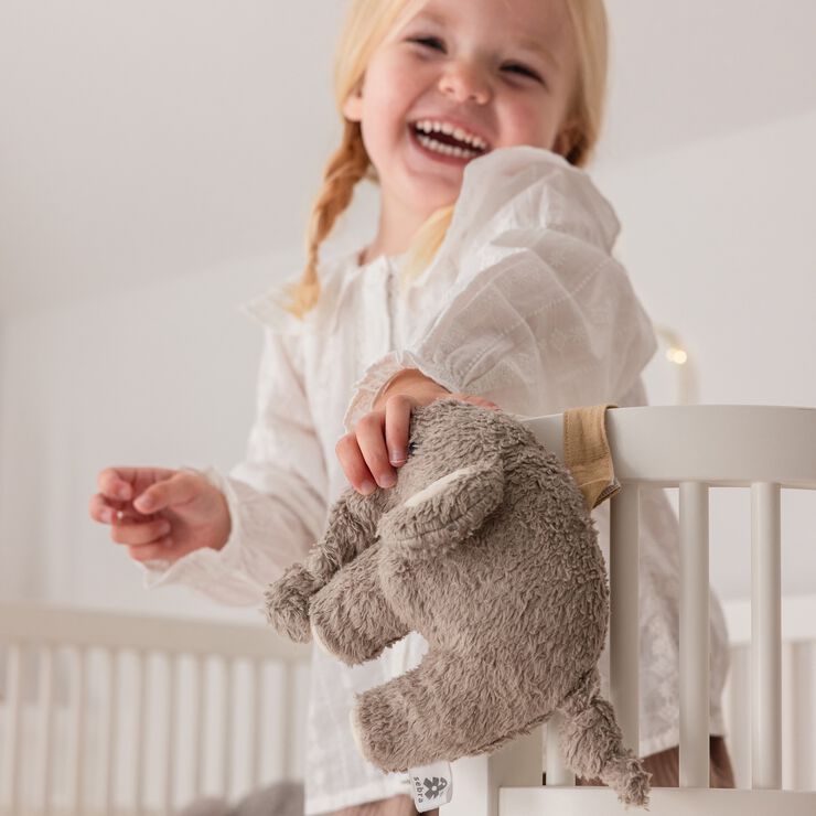 Musikuro, Fanto, grey