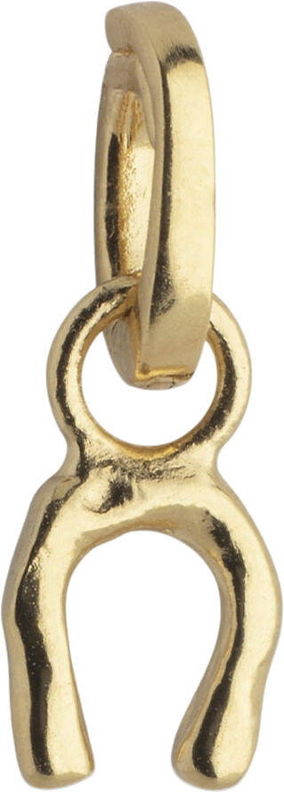 Charm, Lucky Horseshoe