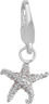 Starfish Charm