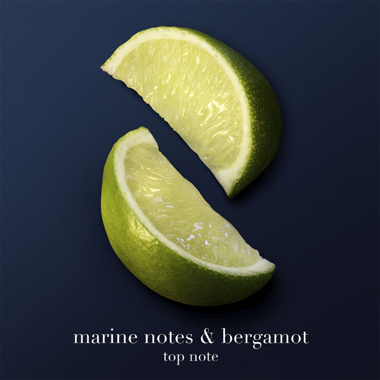 Acqua di Giò Profondo Parfum