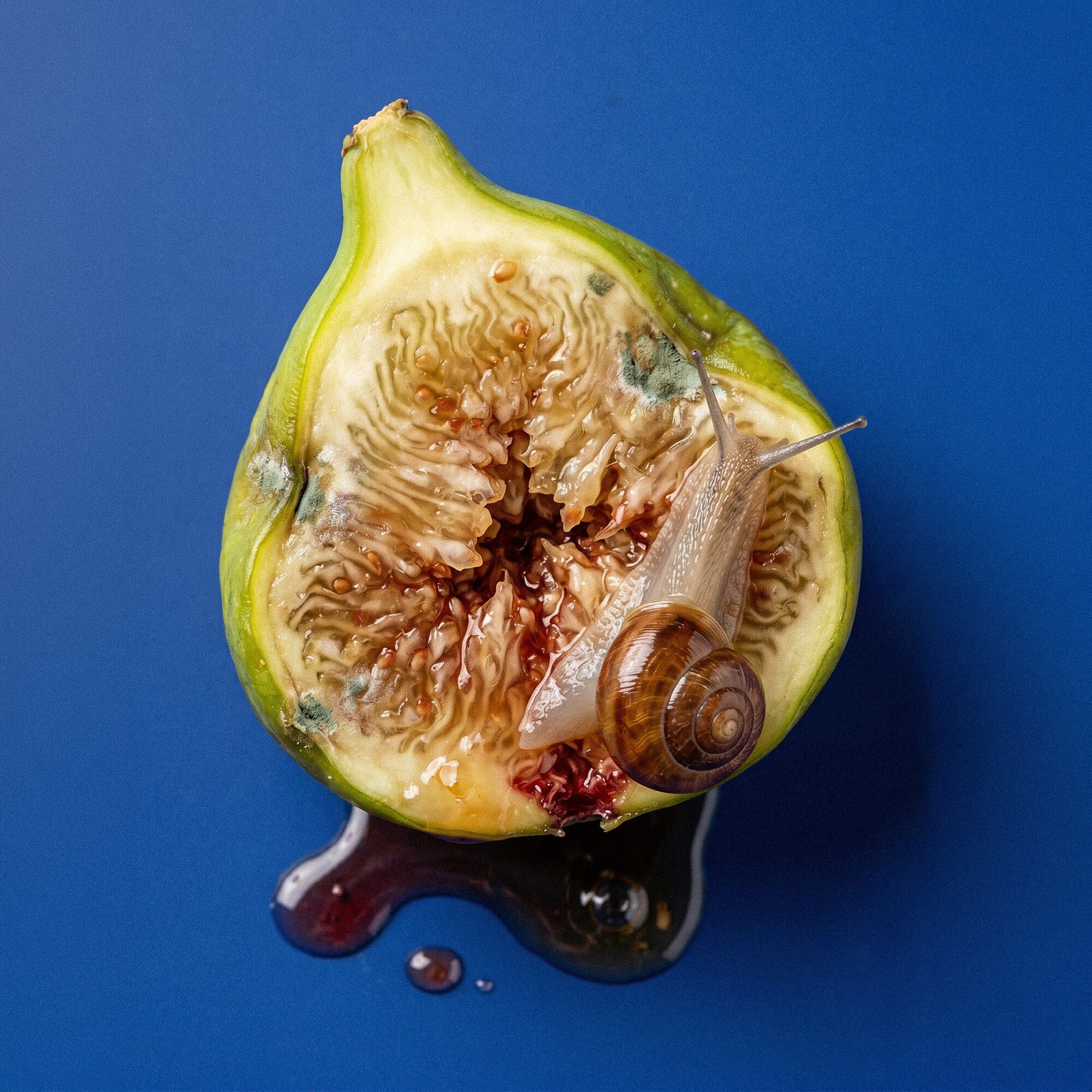 FIG PORN Eau de Parfum