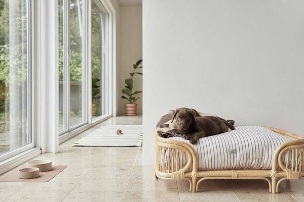 Koko Hundesk&aring;l M&aring;tte