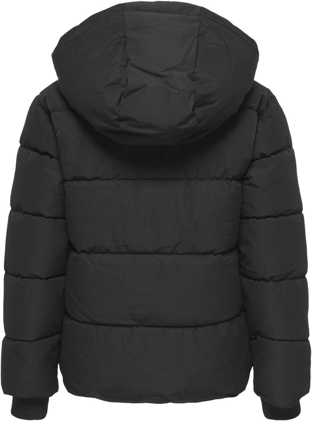 OSJELIJAH PCKT. HOOD JACKET OTW NOO