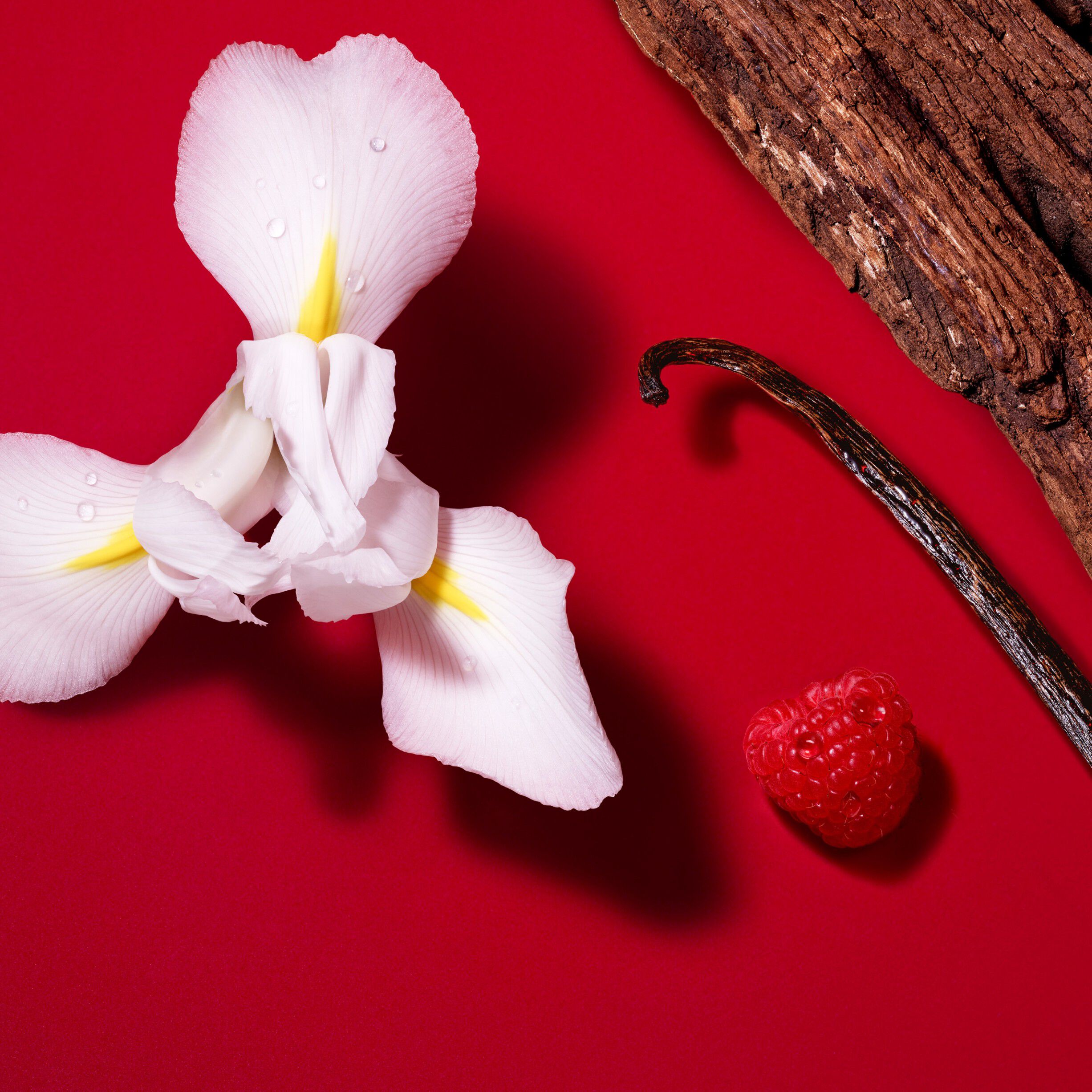 S&igrave; Passione Red Bloom Eau de Parfum