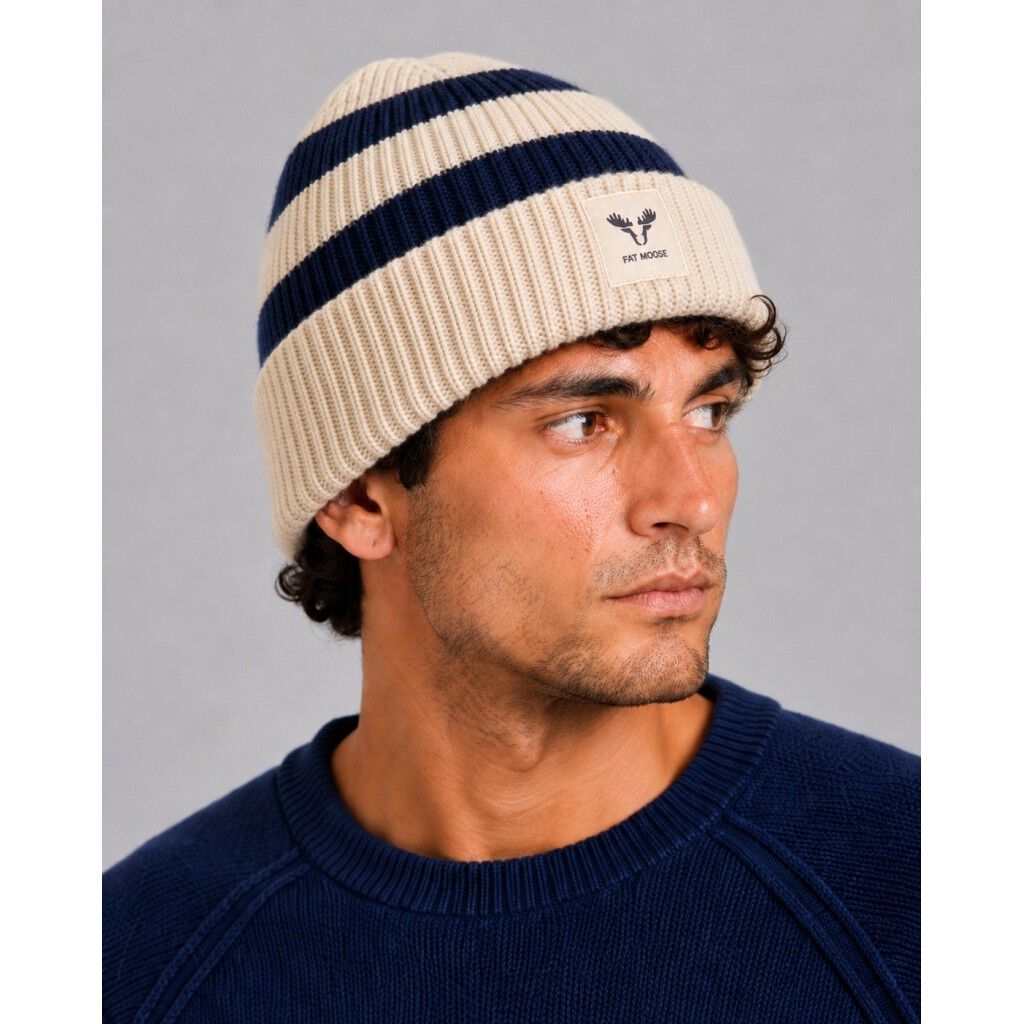 Aare striped beanie