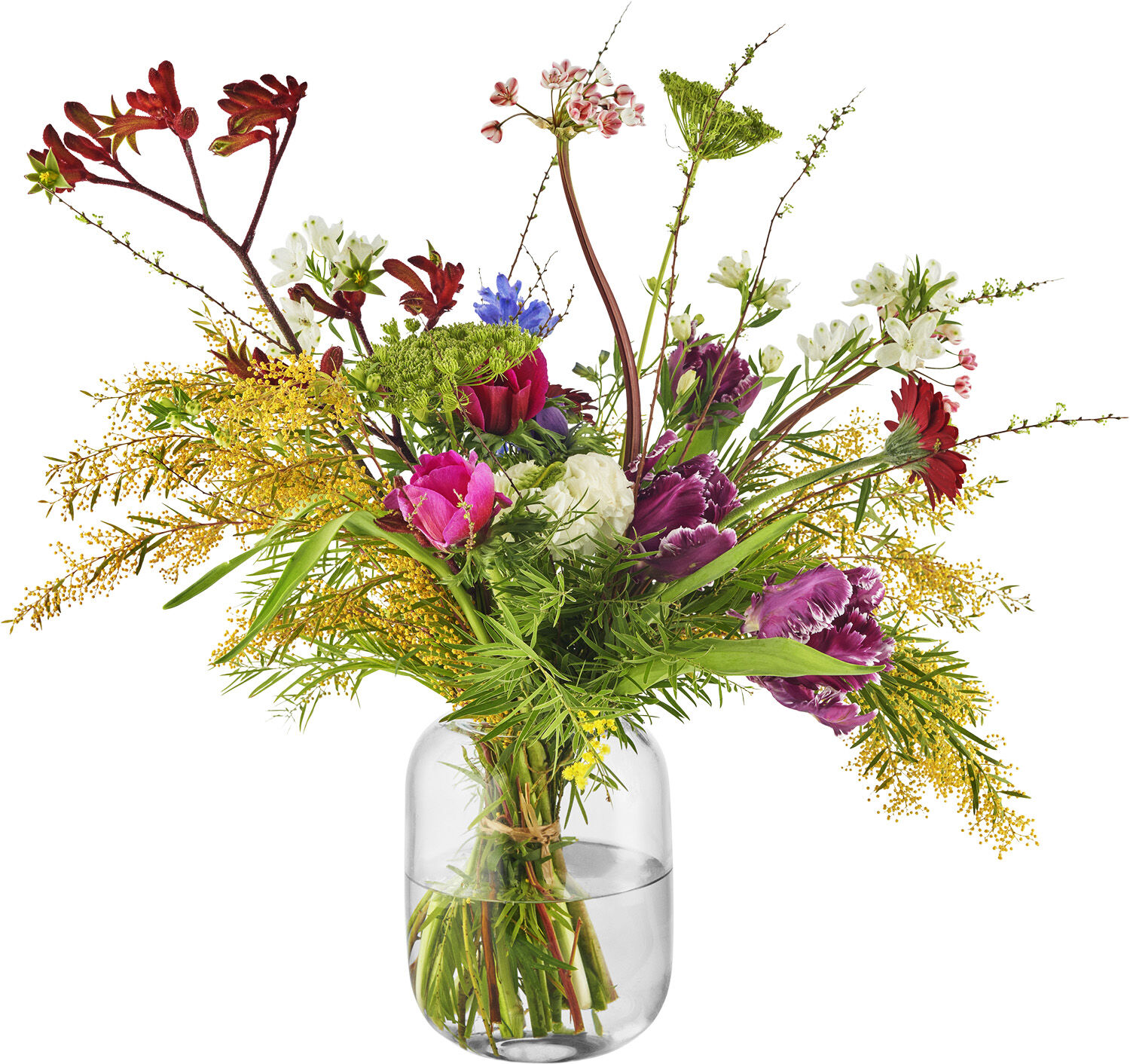 Acorn vase H16,5 Clear