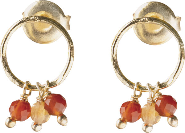 Genuine Carnelian Citrine Earrings GP