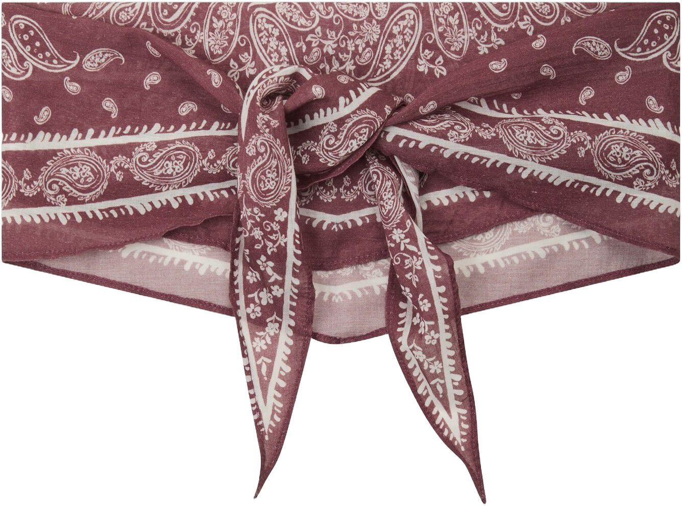 Kinessa Paisley Scarf