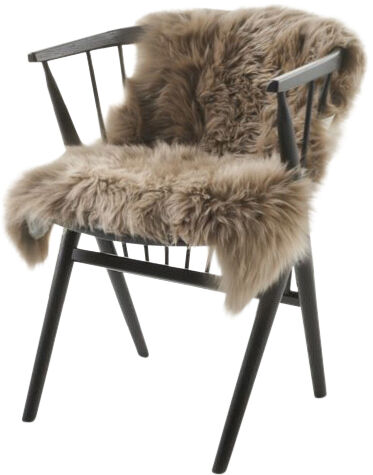 New Zealandsk Lammeskind, 100cm