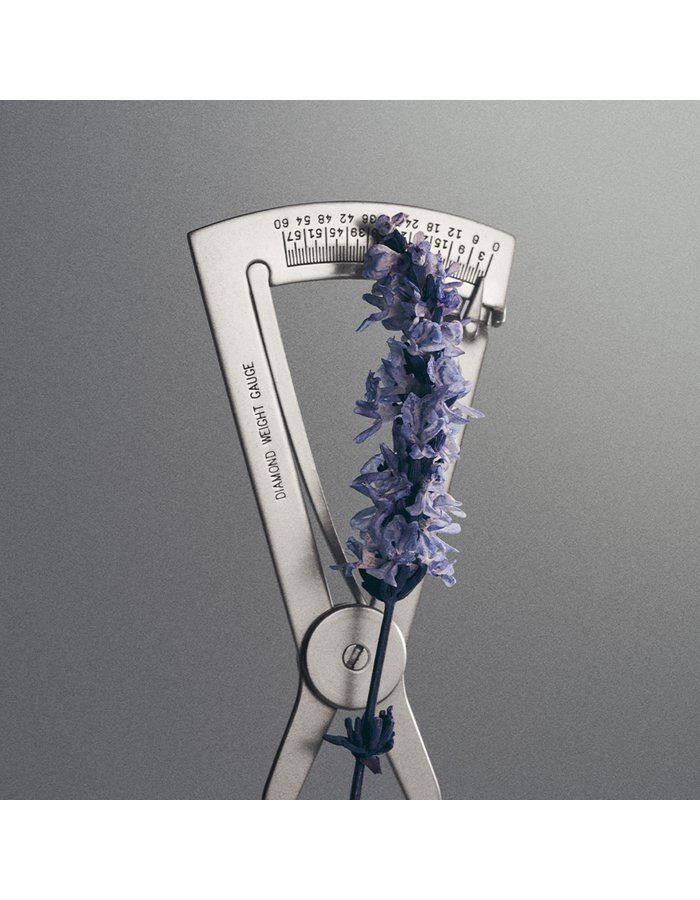 Iris Debonair