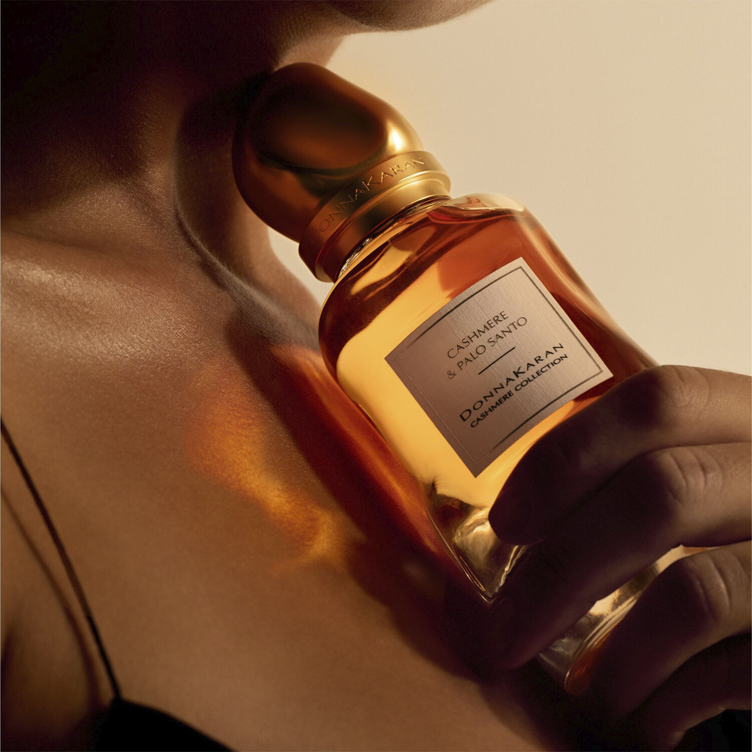 Cashmere Collection Eau de parfum palo santo 100 ML