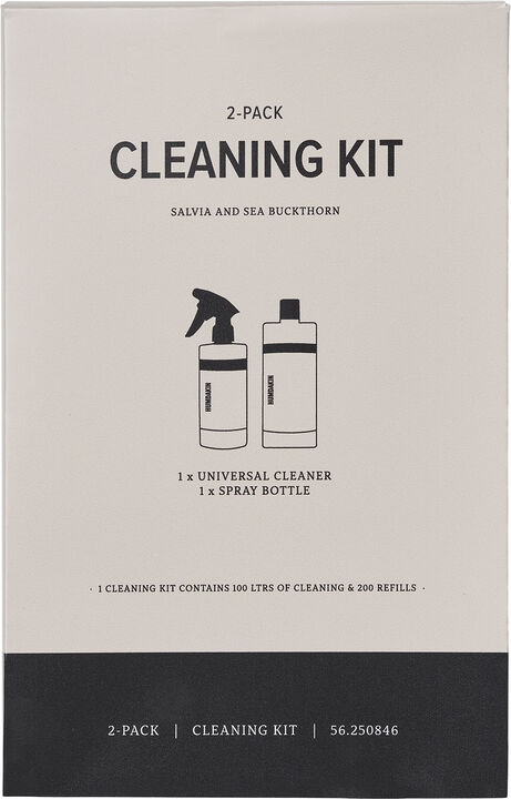 Cleaning kit