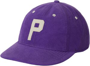 CHAMOIS-WVN-CAP
