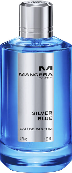 Silver blue Eau de Parfums 120 ml