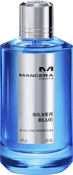 Silver blue Eau de Parfums 120 ml