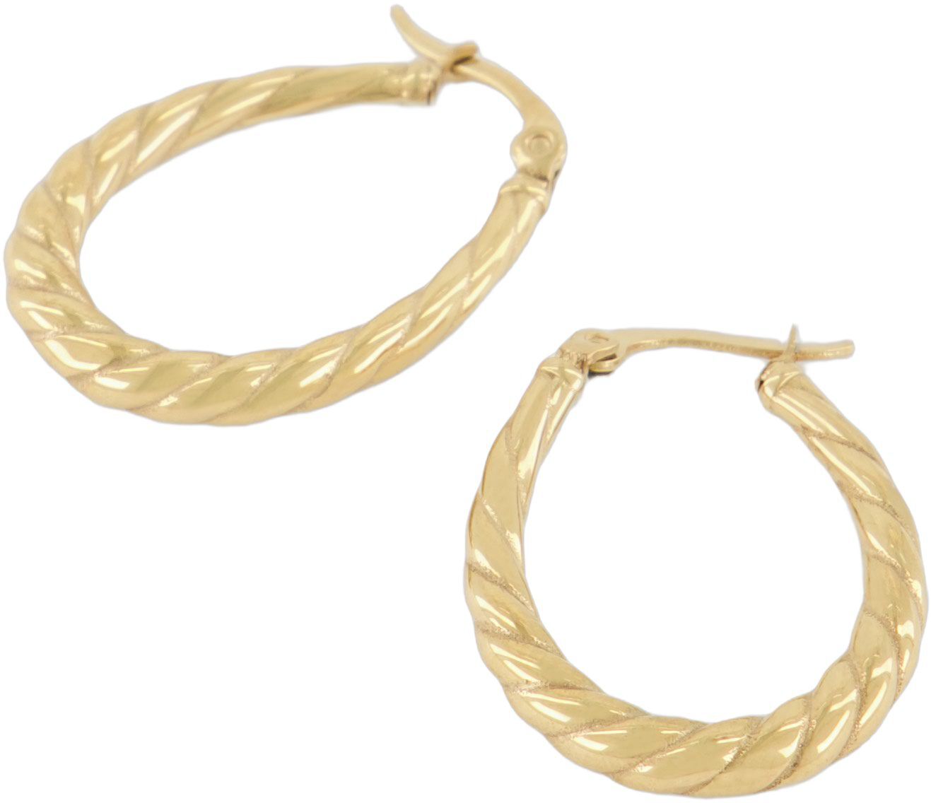 Oval twisted pattern earrings