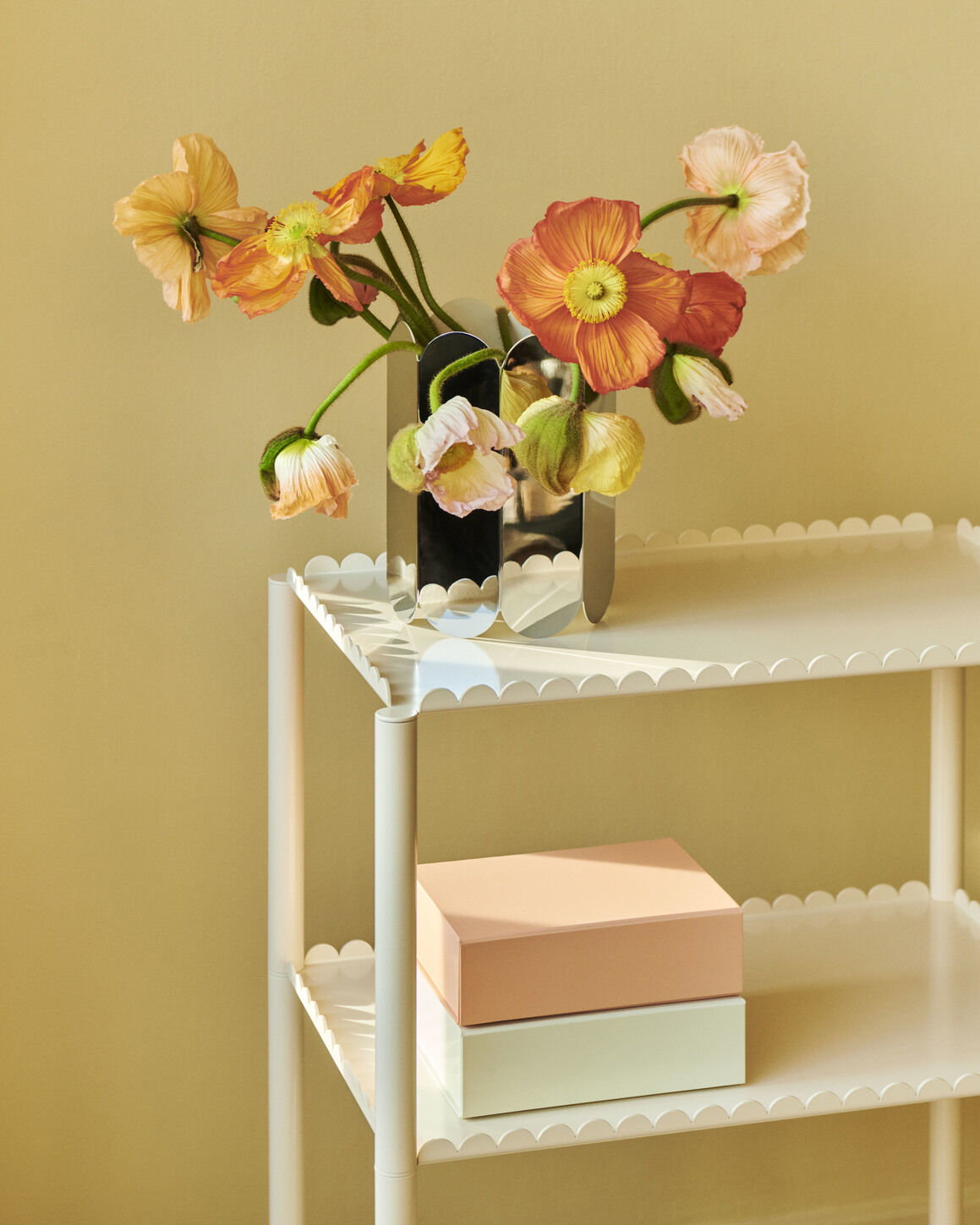 Colour Storage-X-Small