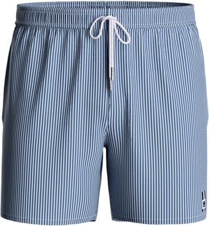 Striped Swim Shorts