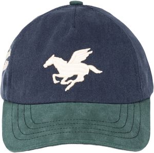 3D PEAGASUS WASHED CAP