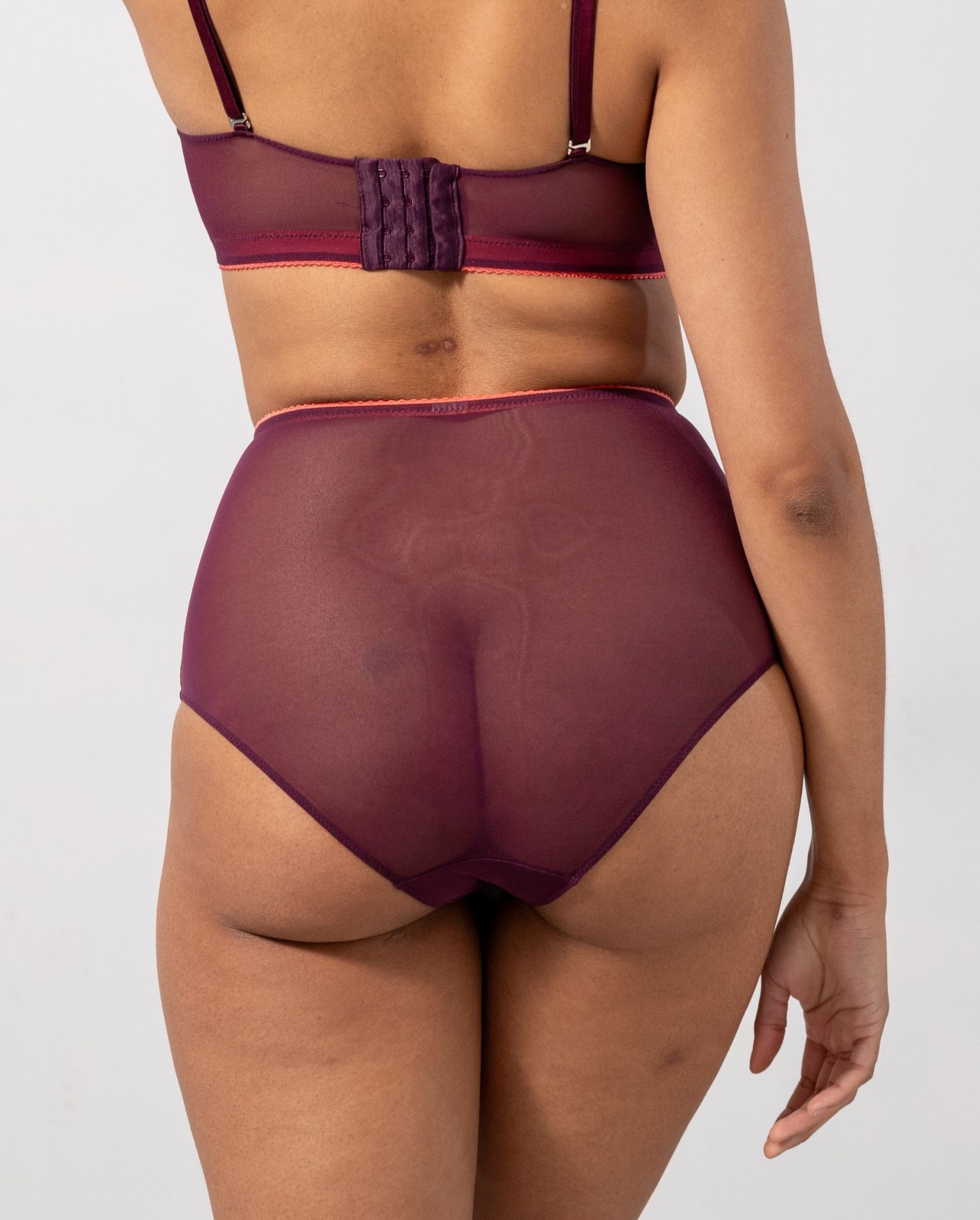 Mesh Highwaist Briefs