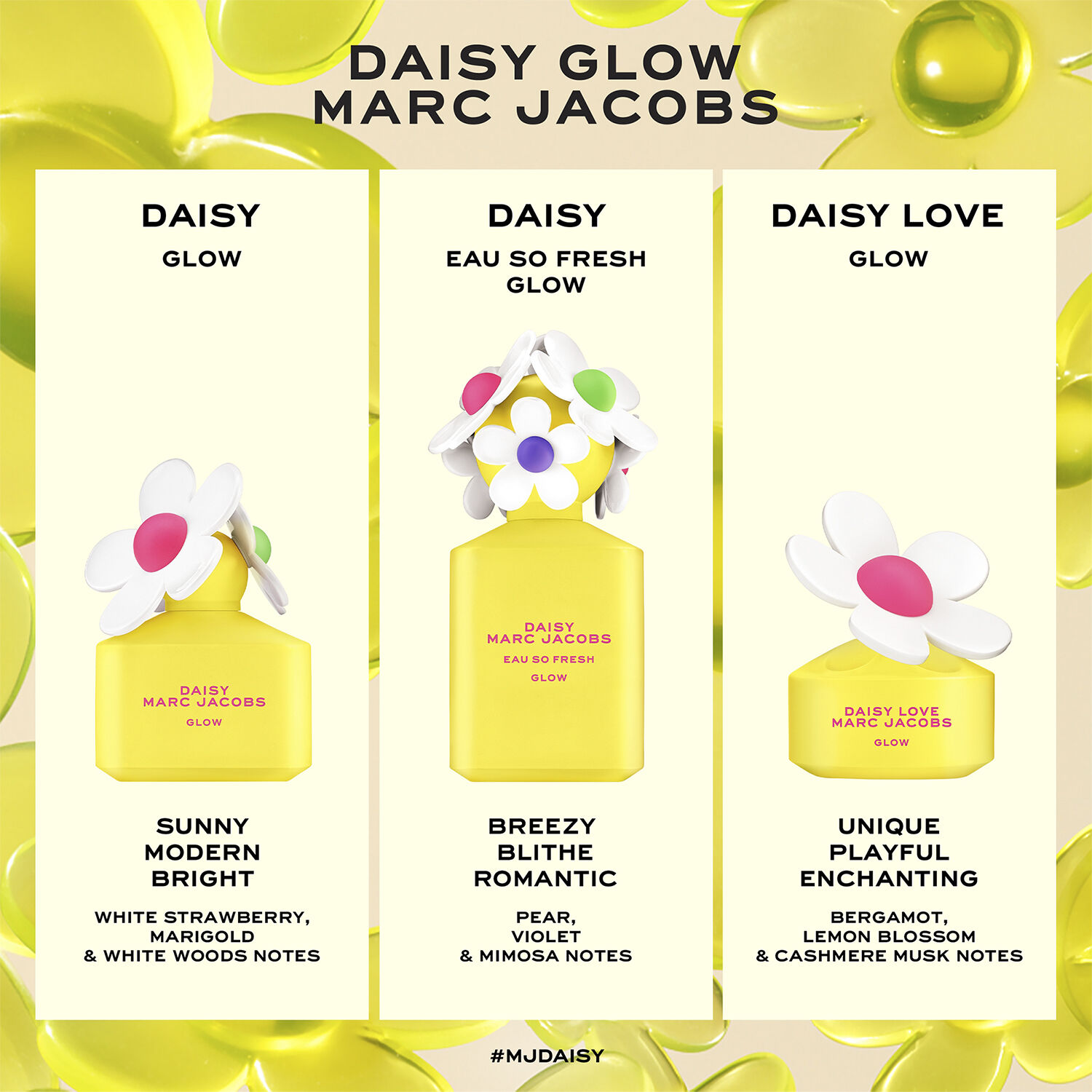Daisy Glow