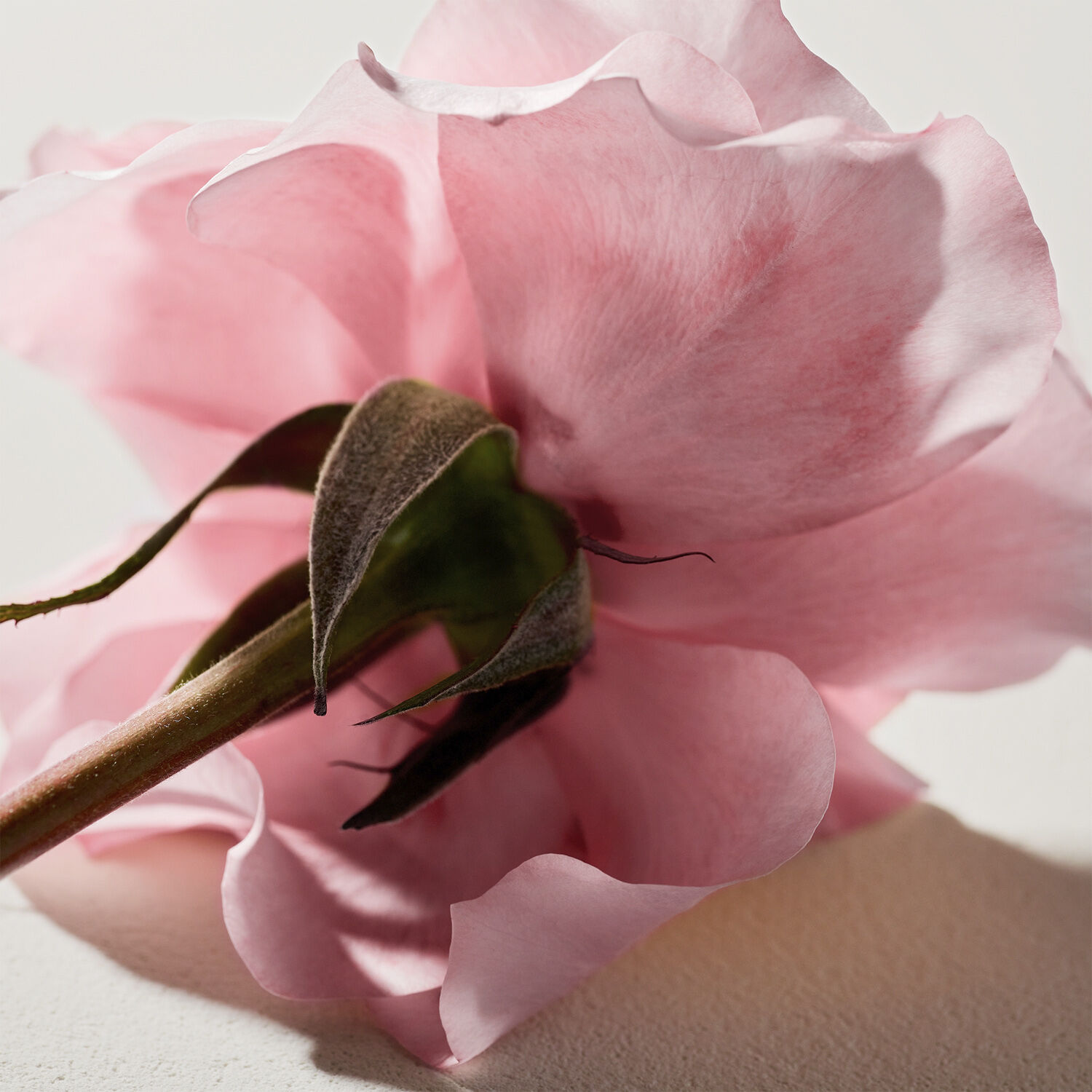 CHLO&Eacute; Signature Eau de parfum refillable 100 ML