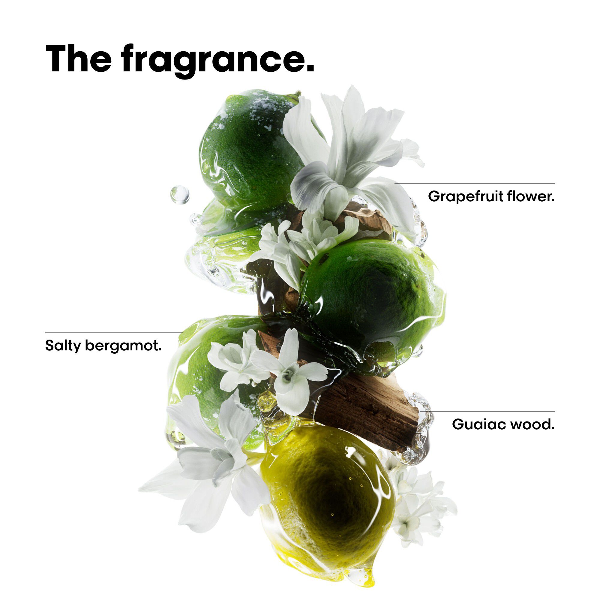 Metal DX Discovery Set Mini