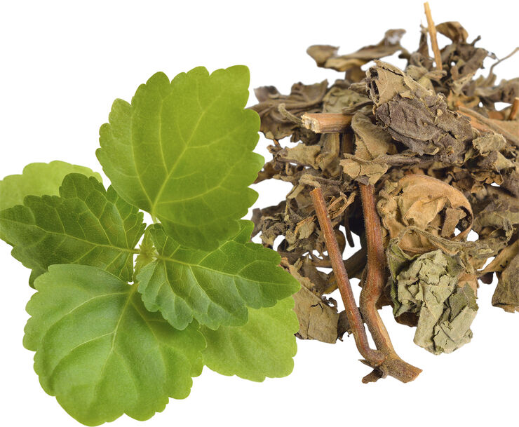 Eros Homme Energy Edp spray 50. 0 ML