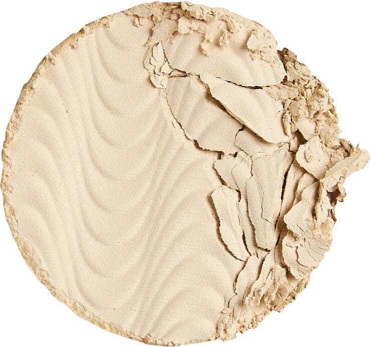 Revolution Pro CC Perfecting pressed powder