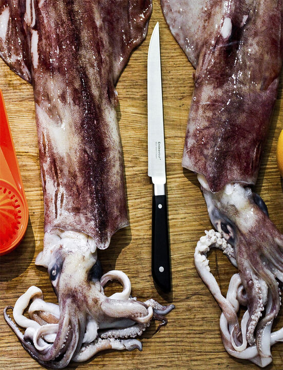 Little Fish - kniv 17 cm