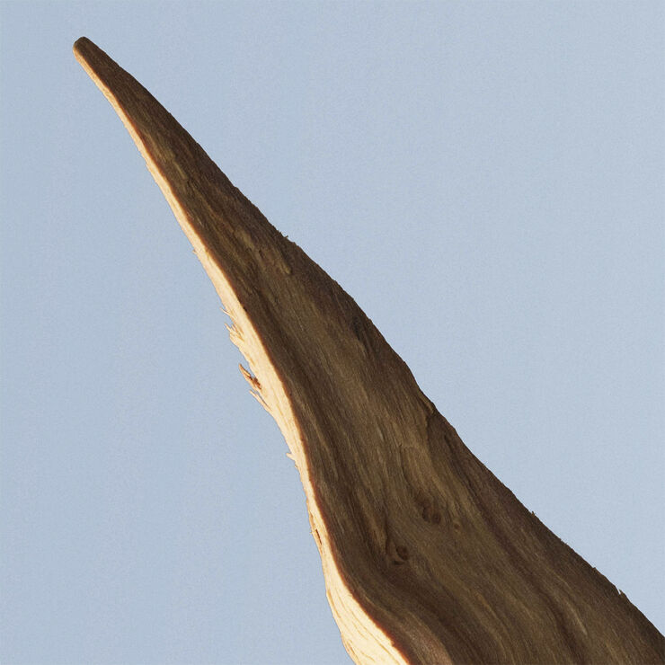 Bottled Tonic Eau De Toilette