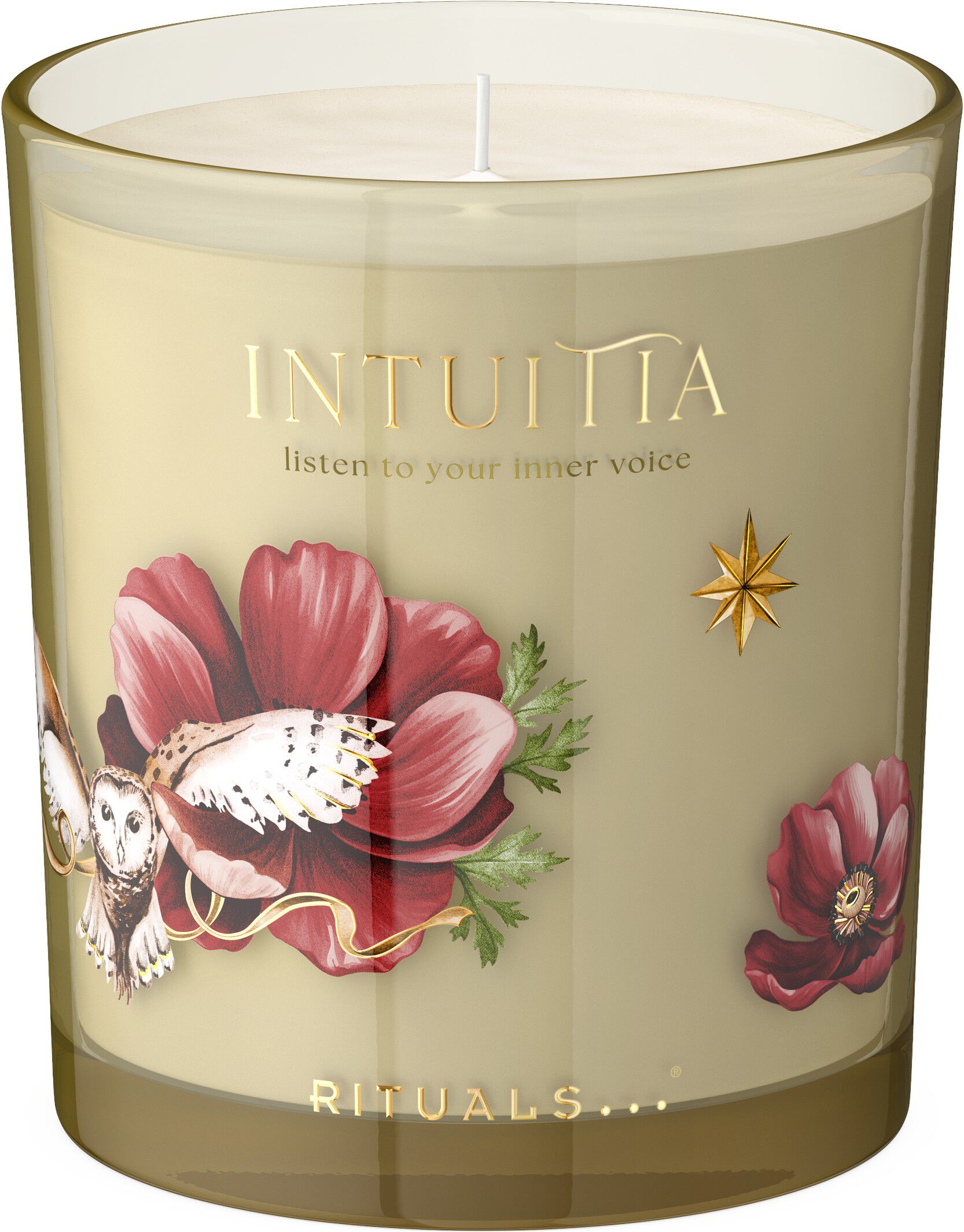 Intuitia Scented Candle 290g
