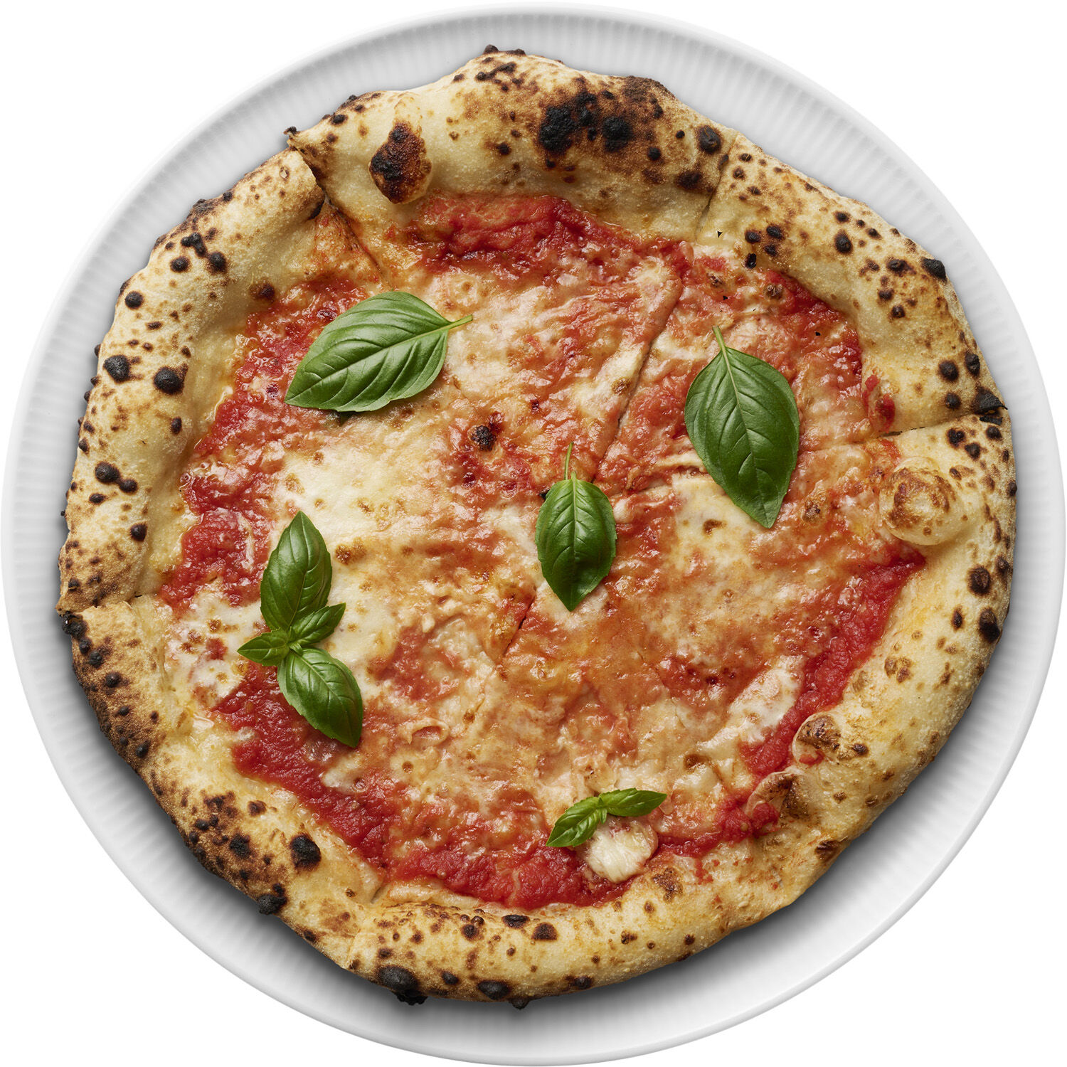 Legio Nova Pizzatallerken 31,5 cm