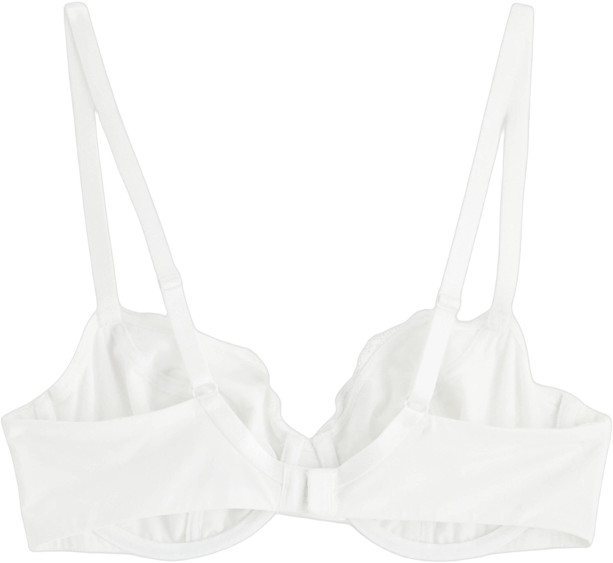 Aster BH uten vattering