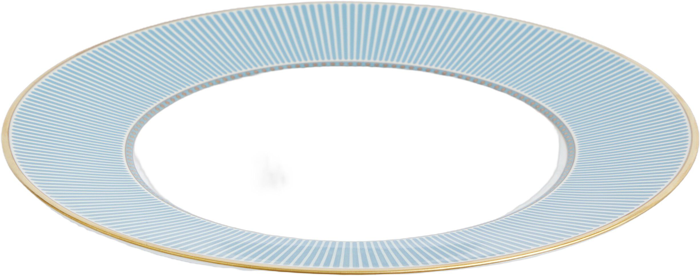 HELIABL Plate 22. 8cm 8. 9in BLU