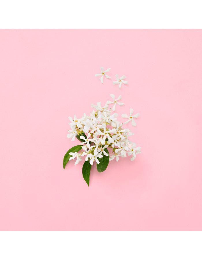 GUCCI Flora Gorgeous Gardenia Eau de parfum