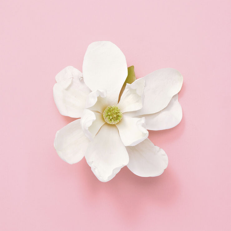 Gucci Flora Gorgeous Jasmine Eau de Parfum