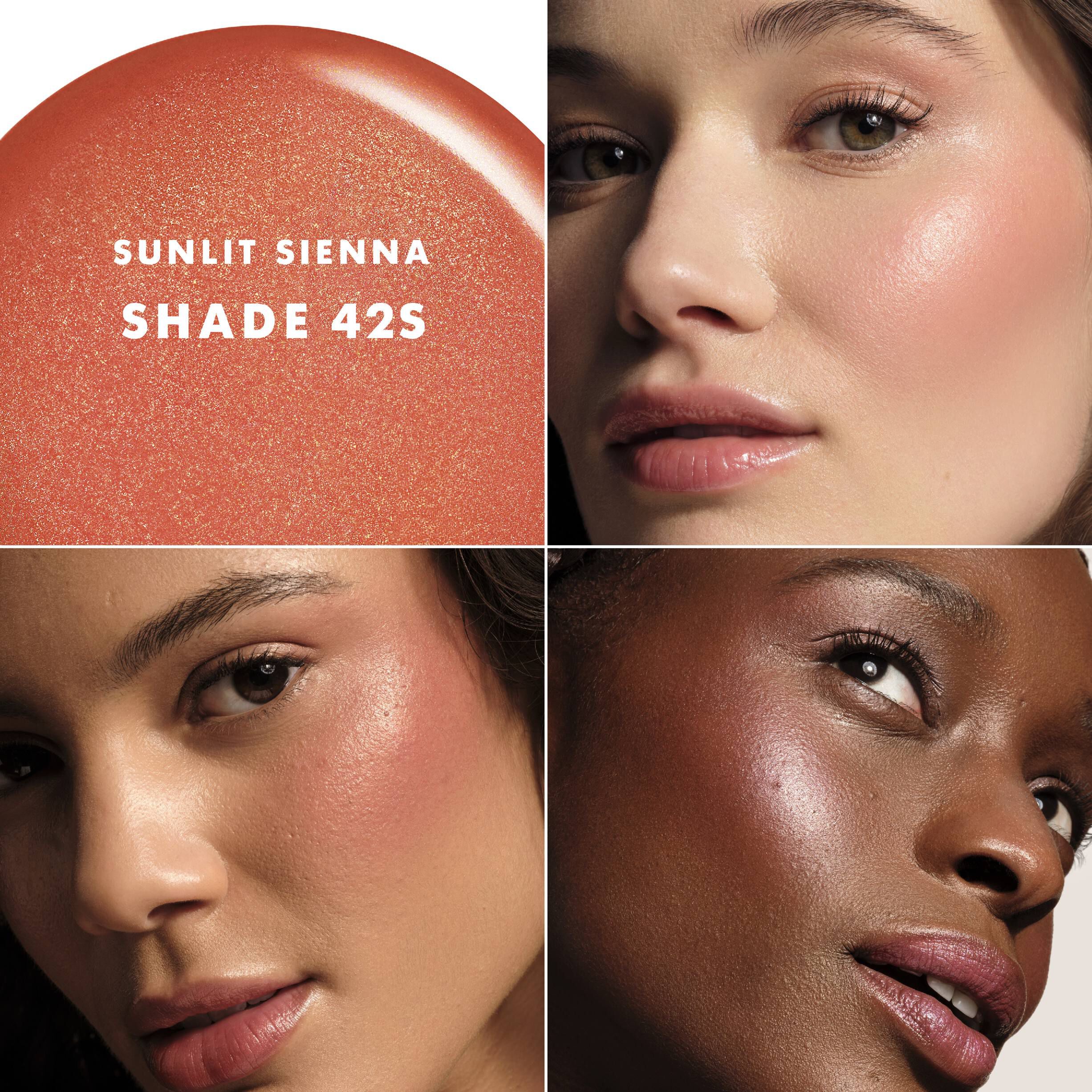 Luminous Silk Cheek Tint Shine