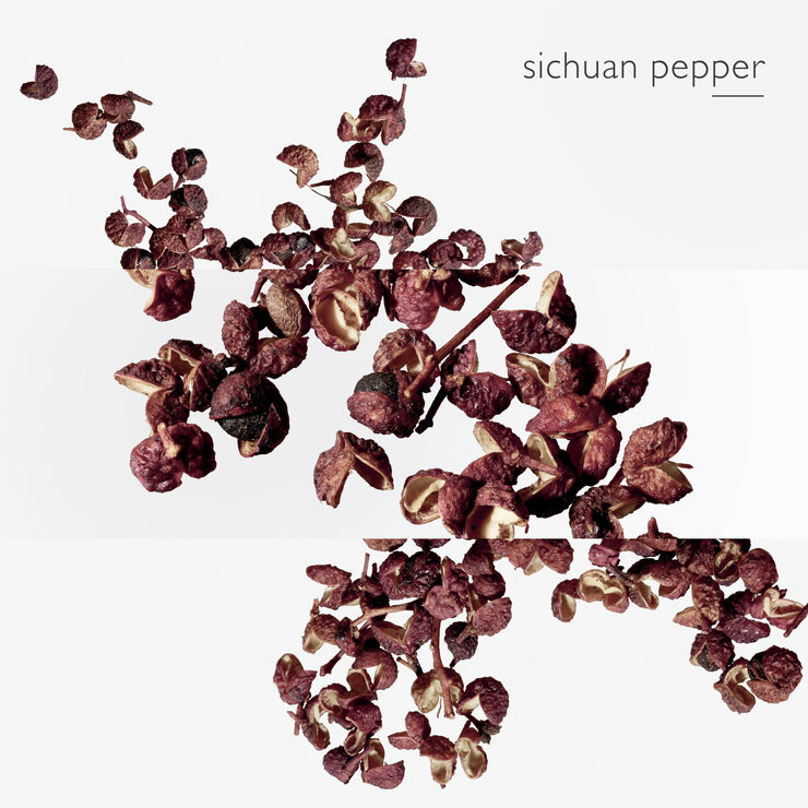 TERRE D'HERMÈS EAU INTENSE VÈTIVER, EAU DE PARFUM