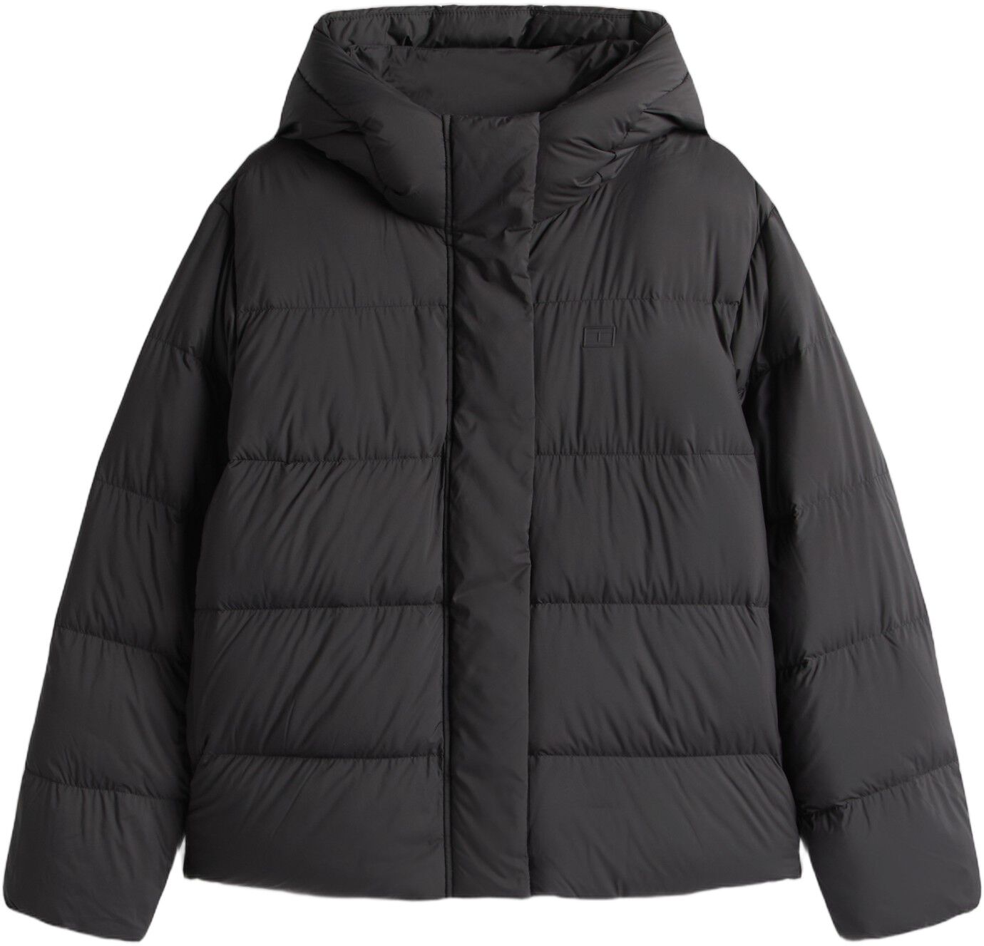 MODERN DOWN REG JACKET