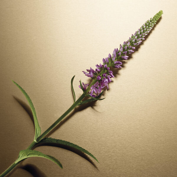 Pour Femme Eau de parfum natural spray 30. 0 ML