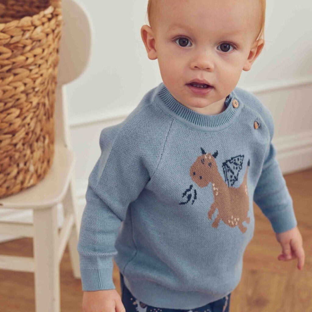 Storybook Knit Jacquard Genser Baby