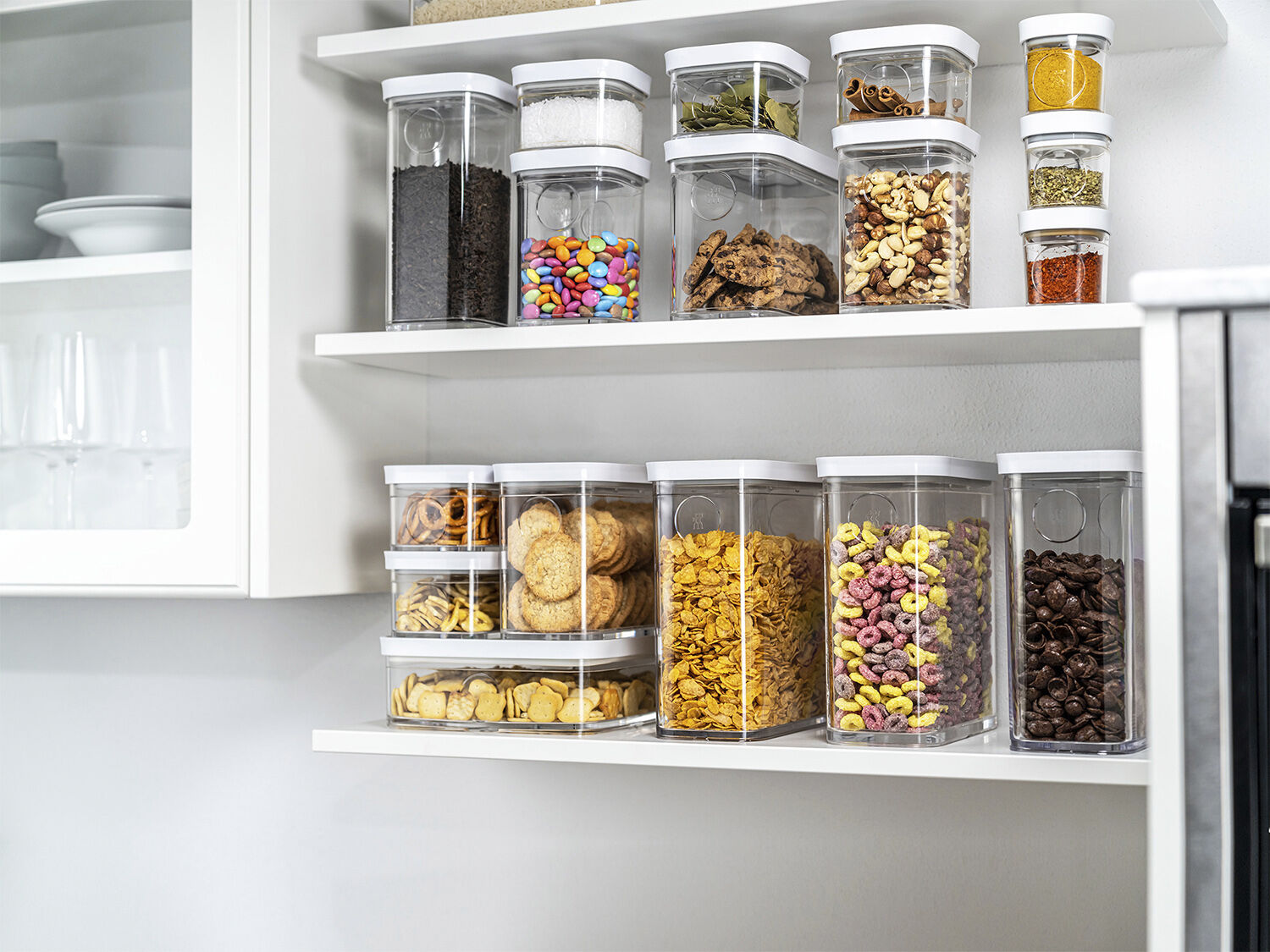 Fresh & Save CUBE Beholder L gen-hv