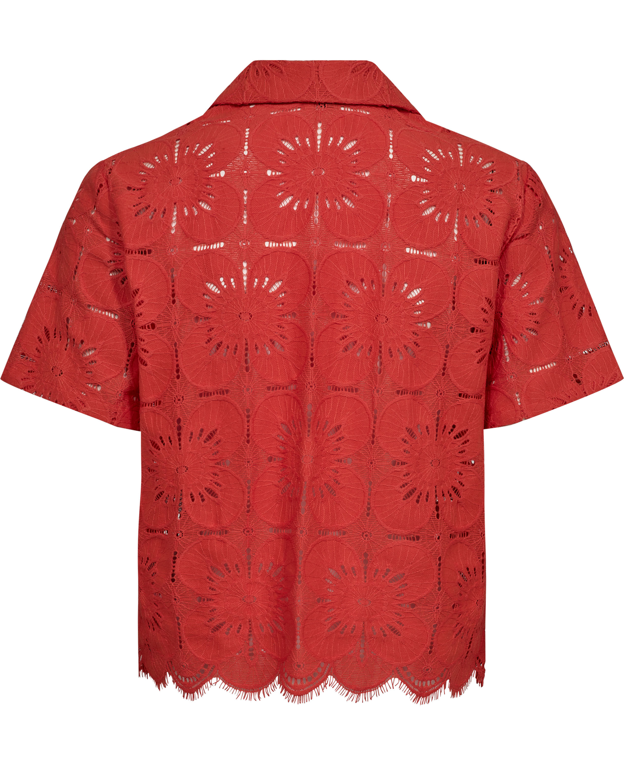 CAM_PRESTON, 3074 ROJISIMO, S