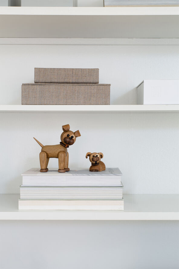 Coco Hvalp/Puppy liggende